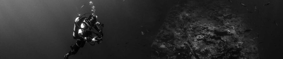 The beginning of a digital era in the year two thousand